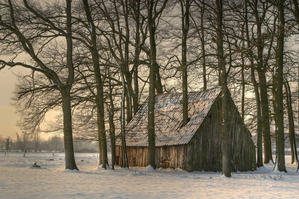 Christmas Barn